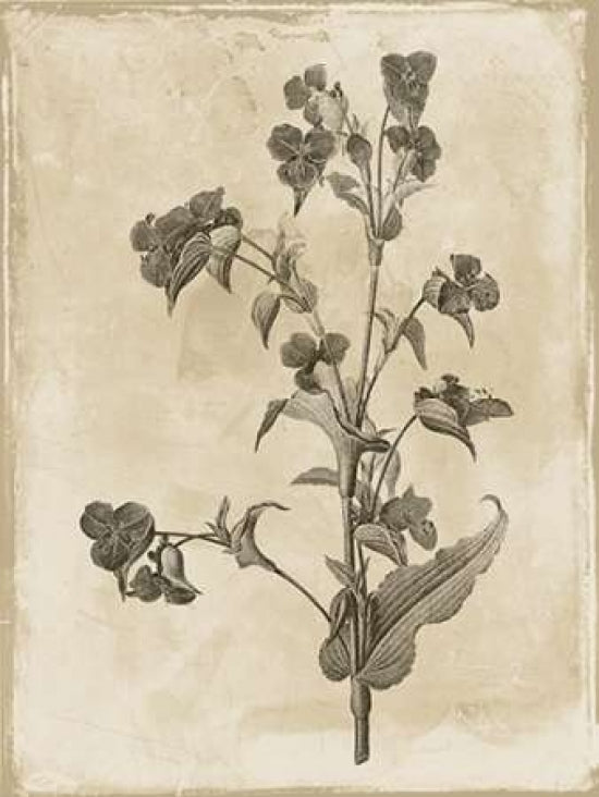 Earthy floral 4 Poster Print by Jace Grey-VARPDXJGRC255D Image 1