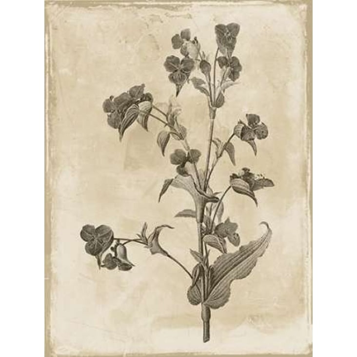 Earthy floral 4 Poster Print by Jace Grey-VARPDXJGRC255D Image 1