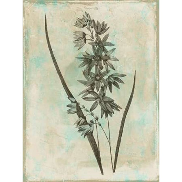 Earthy Blend Poster Print by Jace Grey-VARPDXJGRC255C2 Image 2