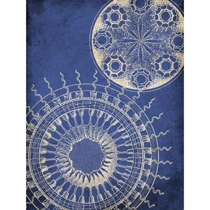 Coastal Indigo Pattern Poster Print by Jace Grey-VARPDXJGRC485A Image 1