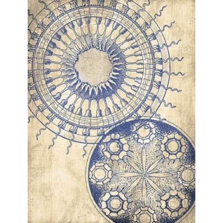 Coastal Indigo Pattern Mate Poster Print by Jace Grey-VARPDXJGRC485B Image 1