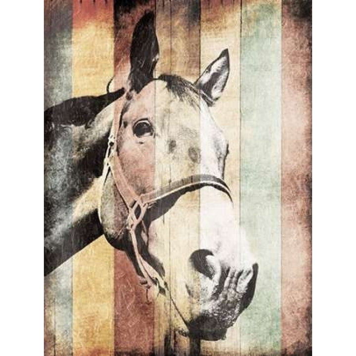 Miultiwood Vintage Horse Poster Print by Jace Grey-VARPDXJGRC545C Image 1