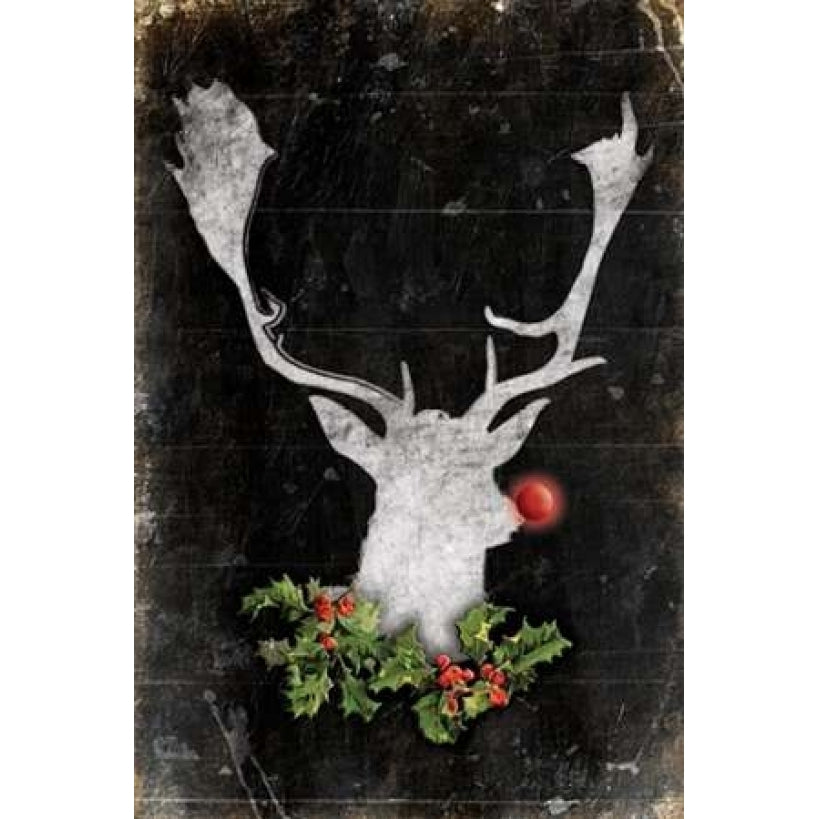 Red Nose Poster Print by Jace Grey-VARPDXJGRC565A Image 1