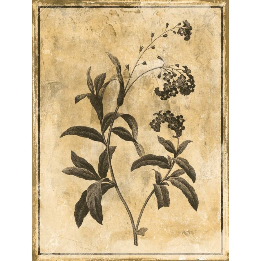 Stencil Floral Mate Poster Print by Jace Grey-VARPDXJGRC583B Image 1