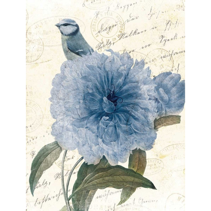 Bird Mail Three Poster Print by Jace Grey-VARPDXJGRC614C Image 1