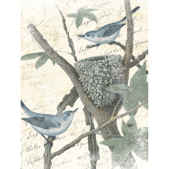 Bird Mail Poster Print by Jace Grey-VARPDXJGRC614A Image 2