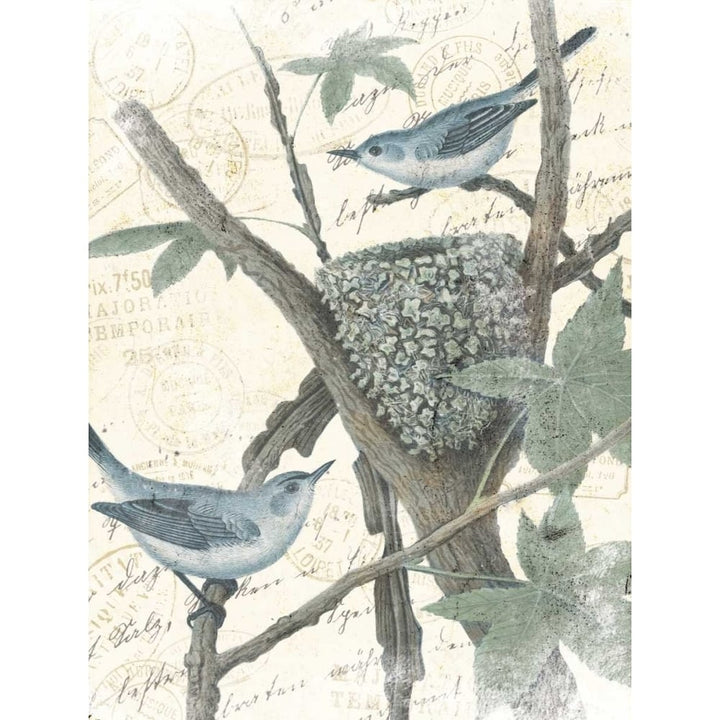 Bird Mail Poster Print by Jace Grey-VARPDXJGRC614A Image 1