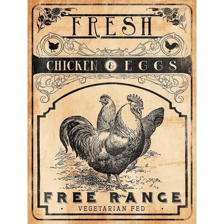 Chicken Eggs Poster Print by Jace Grey-VARPDXJGRC634A Image 1