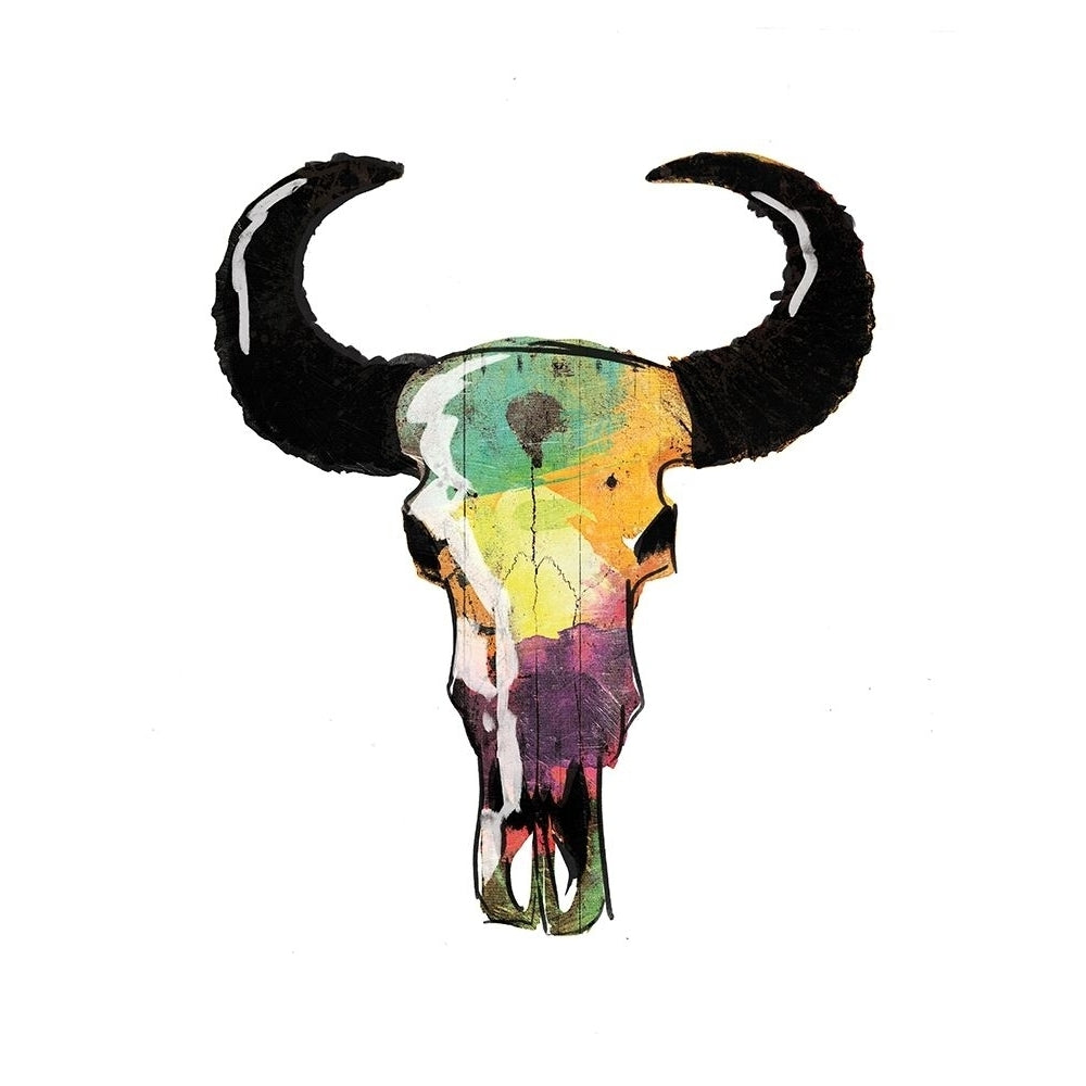 Watercolor Skull Poster Print by Jace Grey-VARPDXJGRC654A Image 1