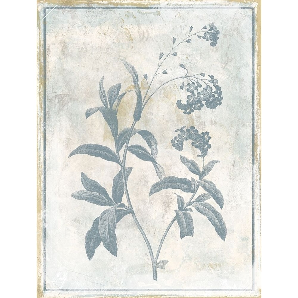 Sky Floral Two Poster Print by Jace Grey-VARPDXJGRC657B Image 1