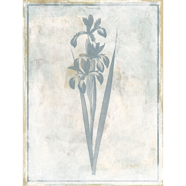 Sky Floral Four Poster Print by Jace Grey-VARPDXJGRC657D Image 1