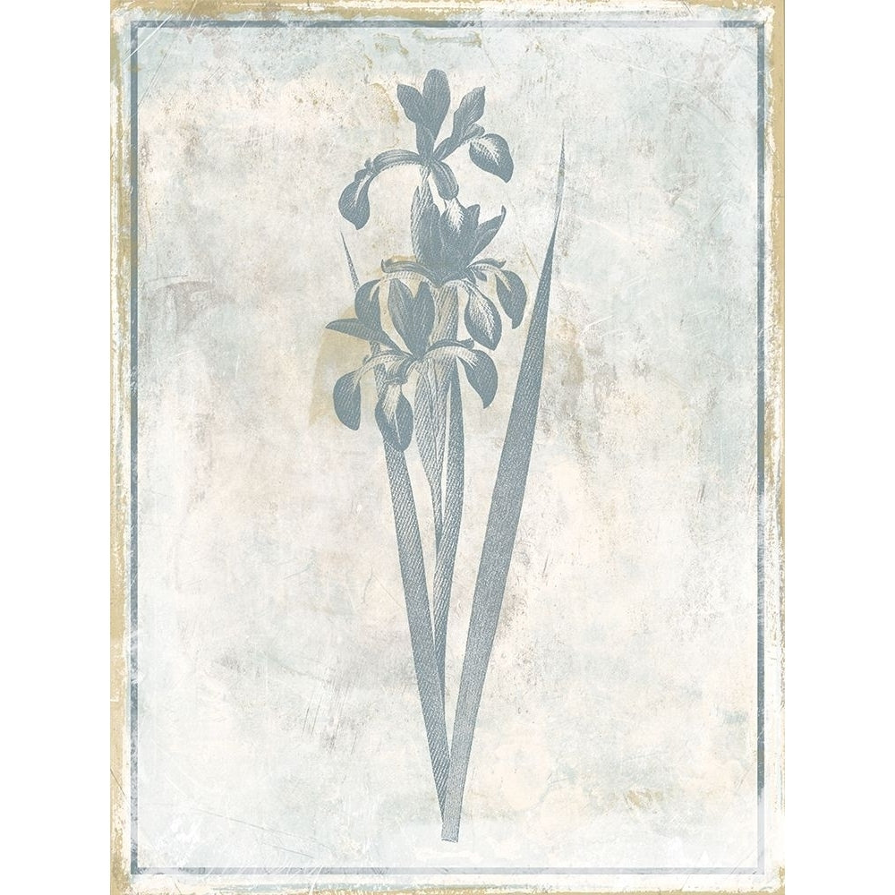 Sky Floral Four Poster Print by Jace Grey-VARPDXJGRC657D Image 2