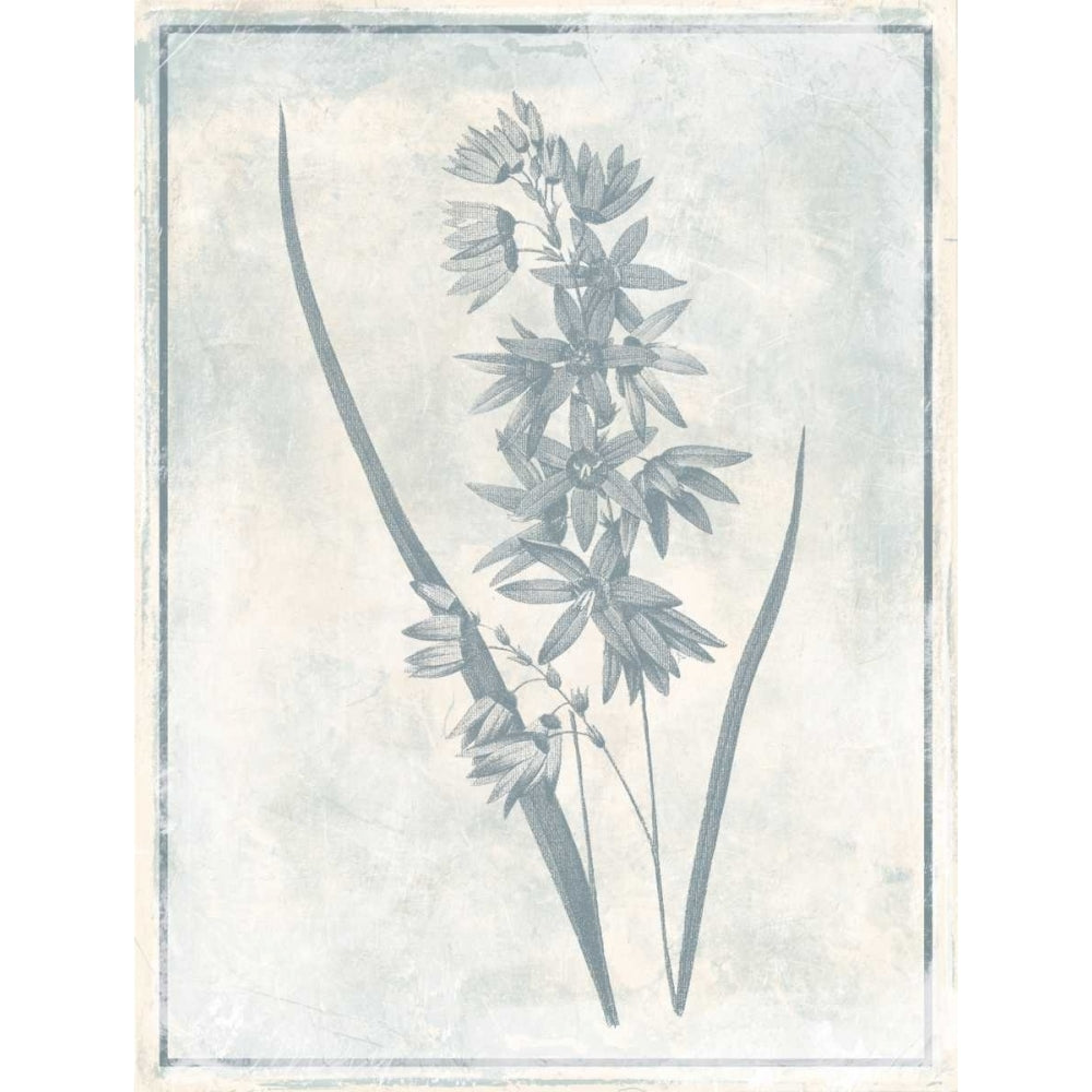 Sky Floral Three Cleaner Poster Print by Jace Grey-VARPDXJGRC659C Image 2