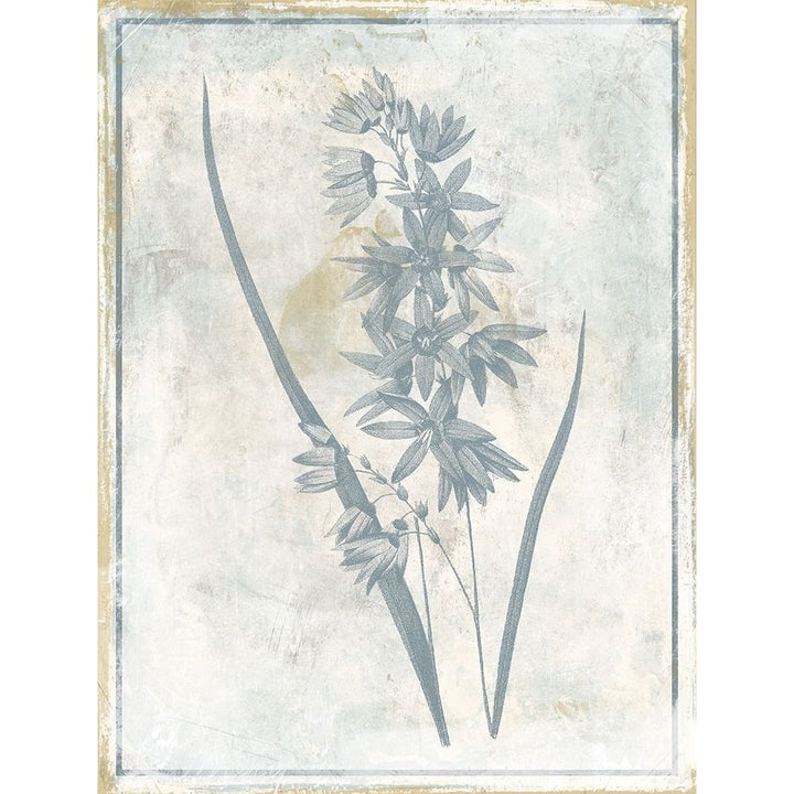 Sky Floral Three Poster Print by Jace Grey-VARPDXJGRC657C Image 2