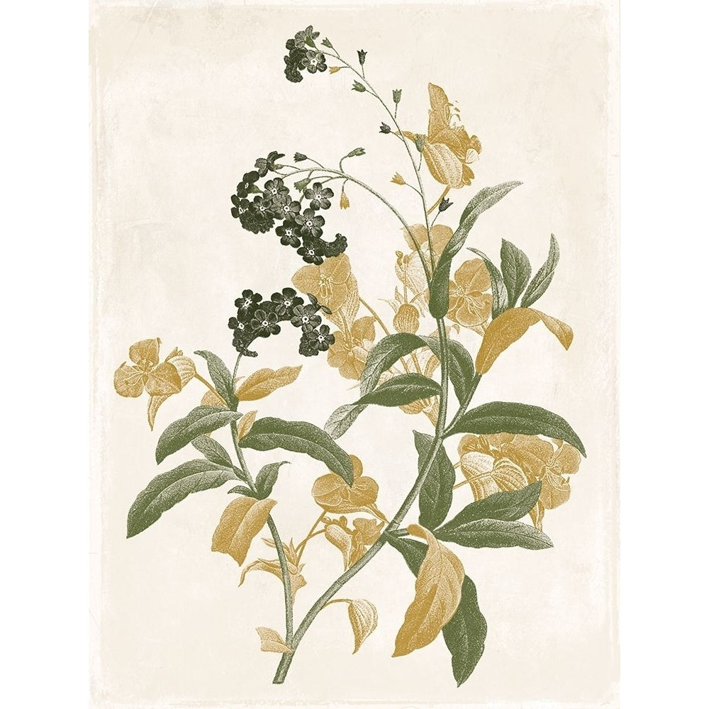 Green and Gold Flowers 2 Poster Print by Jace Grey-VARPDXJGRC679B Image 2