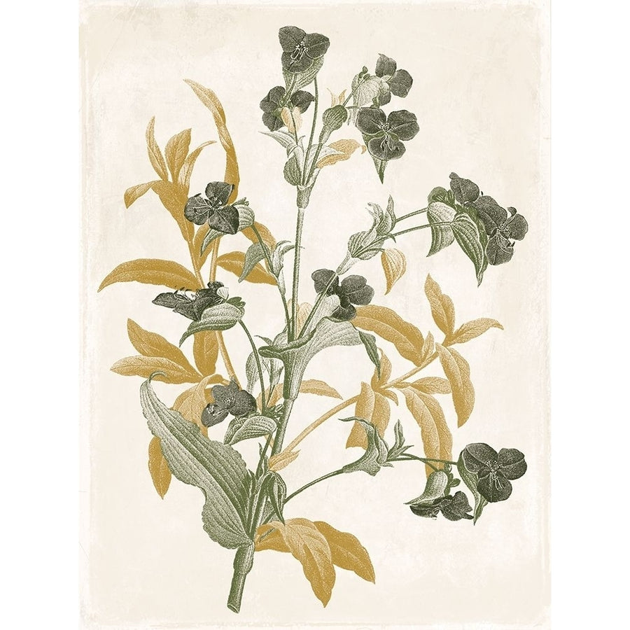 Green and Gold Flowers 1 Poster Print by Jace Grey-VARPDXJGRC679A Image 1