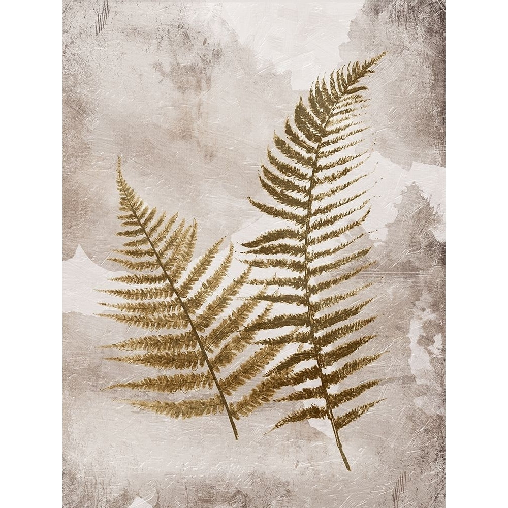 Mute Ferns Poster Print by Jace Grey-VARPDXJGRC684A Image 1