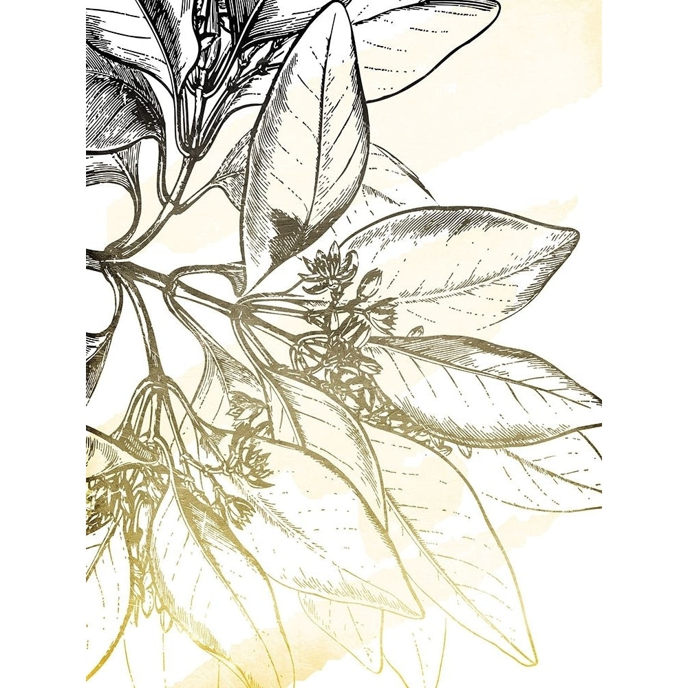 Fade Botanicals Poster Print by Jace Grey-VARPDXJGRC697A Image 1