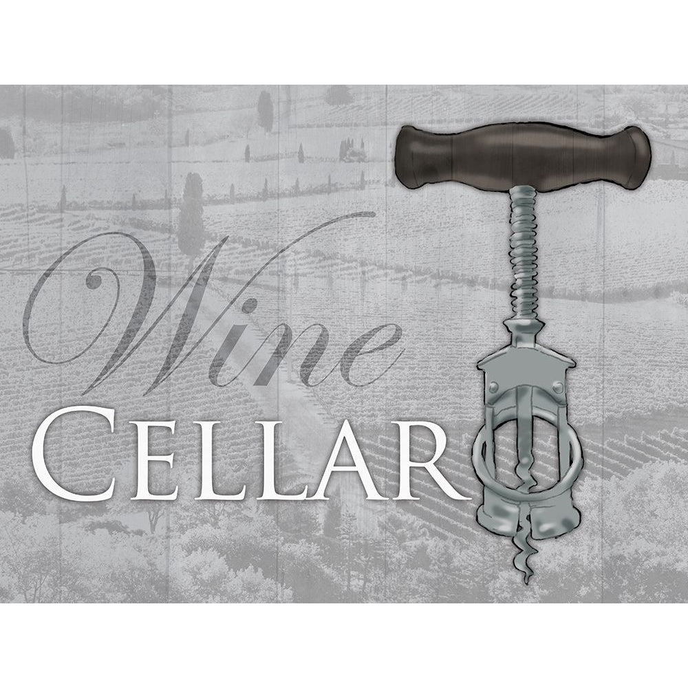 Soft Wine Cellar Poster Print by Jace Grey-VARPDXJGRC687B Image 1