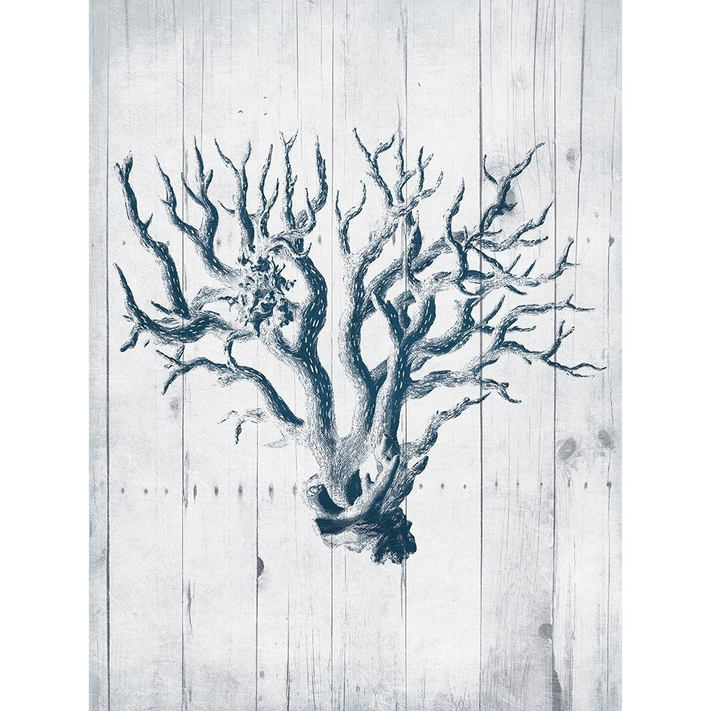 Coral White Wood Mate Poster Print by Jace Grey-VARPDXJGRC732B Image 1