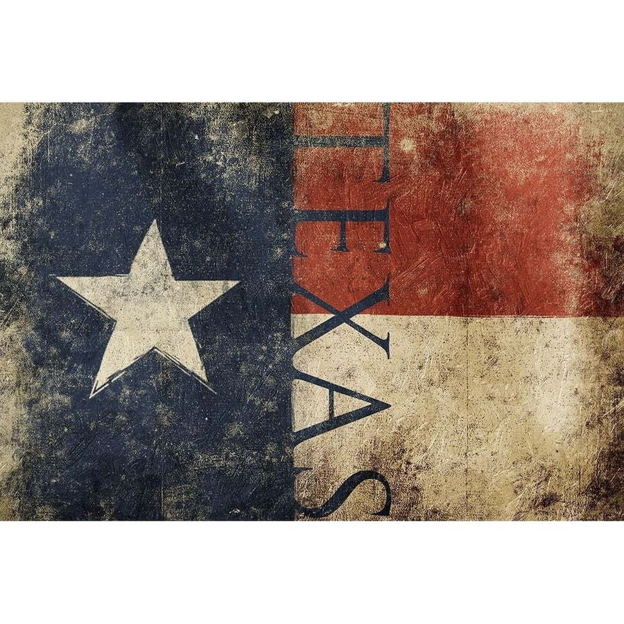 Texas Flag Text Poster Print by Jace Grey-VARPDXJGRC699A Image 1