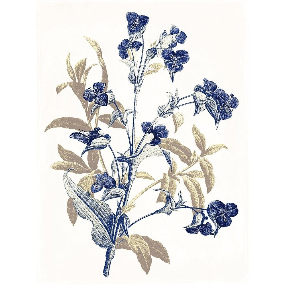 Indigo Flowers Poster Print by Jace Grey-VARPDXJGRC773A Image 1