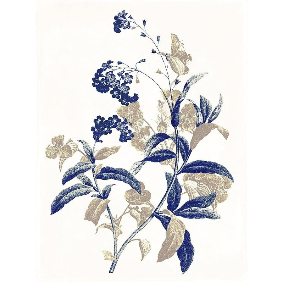 Indigo Flowers Two Poster Print by Jace Grey-VARPDXJGRC773B Image 1