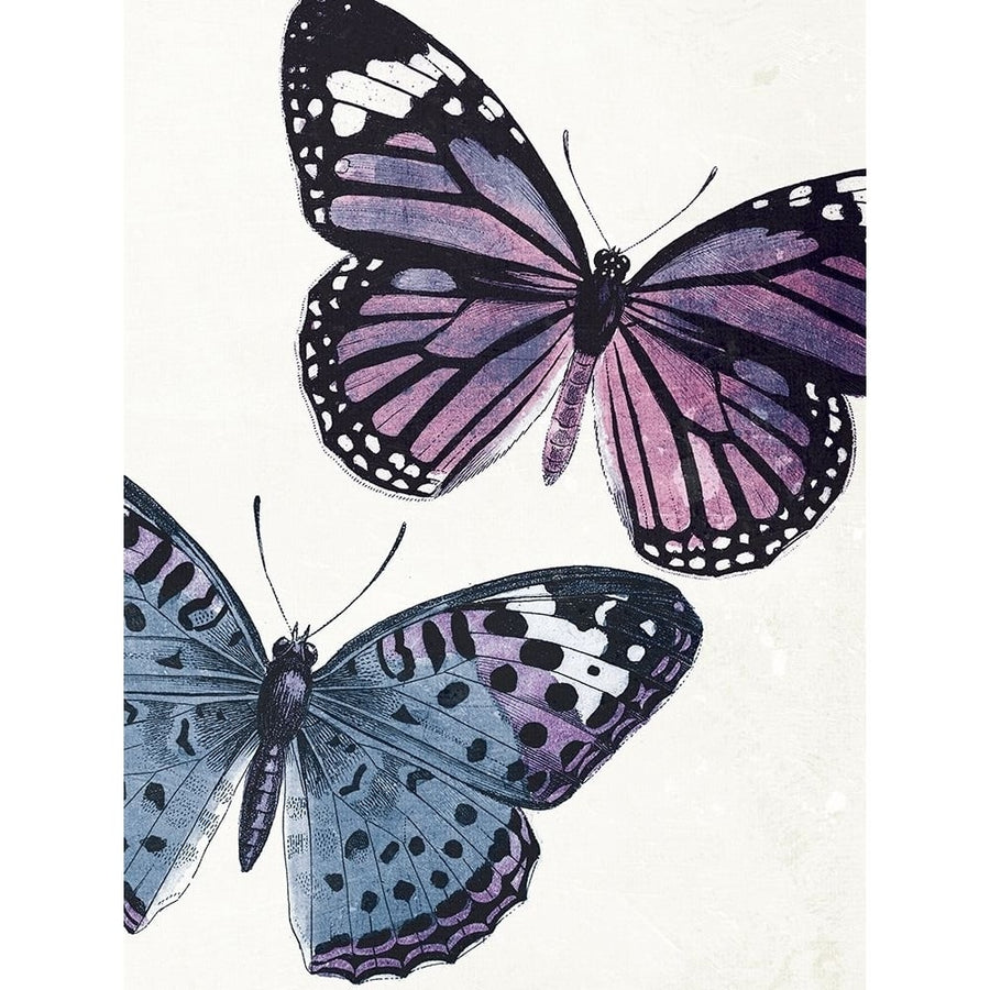 Butterfly High Three Poster Print by Jace Grey-VARPDXJGRC770C Image 1