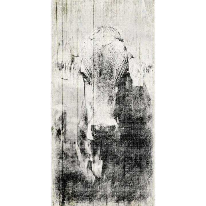 Vintage Cow Mate Poster Print by Jace Grey-VARPDXJGRN025B Image 2