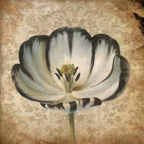 Flower 2 Poster Print by Jace Grey-VARPDXJGSQ096B Image 1