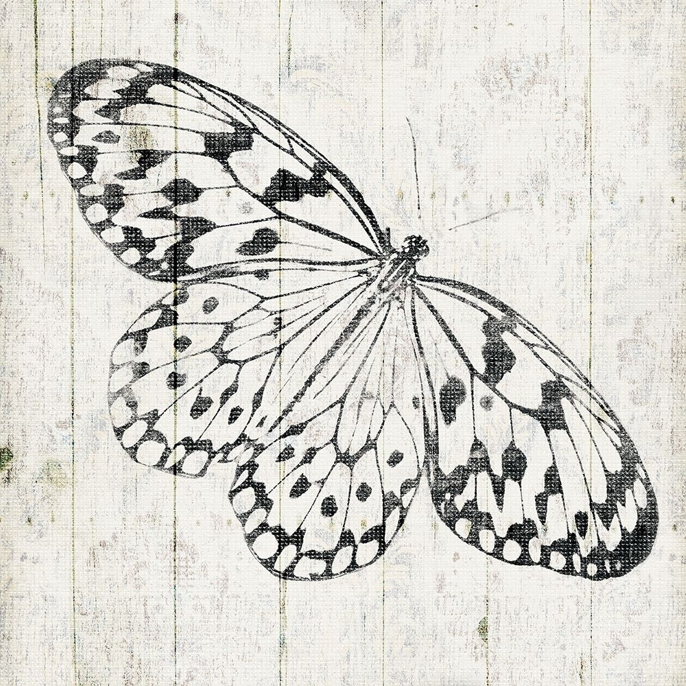 Butterfly Board Poster Print by Jace Grey-VARPDXJGSQ1074A Image 1