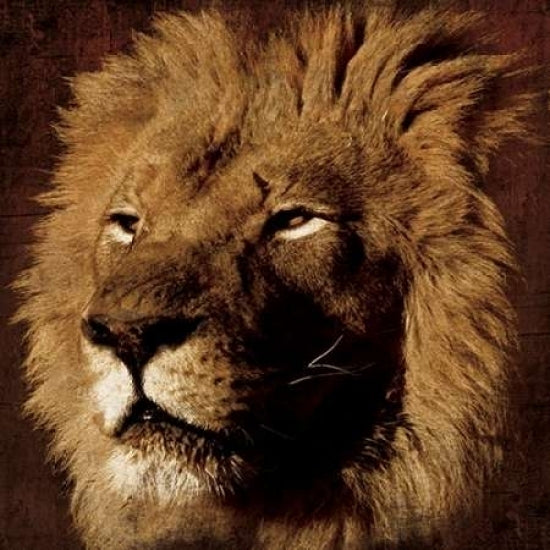 Lion Poster Print by Jace Grey-VARPDXJGSQ112C Image 2