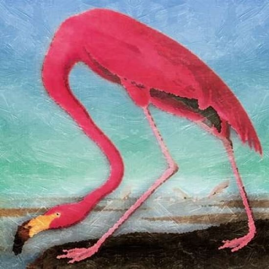 Flamingo Poster Print by Jace Grey-VARPDXJGSQ330A Image 1