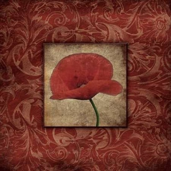 Poppie bordered Poster Print by Jace Grey-VARPDXJGSQ337A Image 2