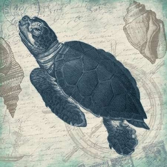 Turtle Poster Print by Jace Grey-VARPDXJGSQ359A Image 1