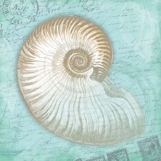 Nautical Shells Poster Print by Jace Grey-VARPDXJGSQ365A Image 1