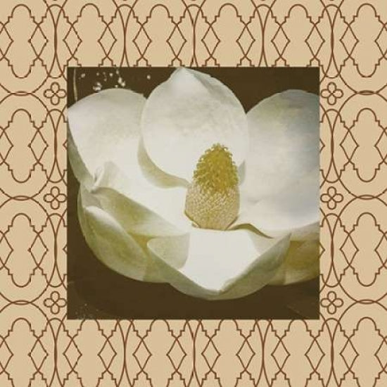 Brown floral border 2 Poster Print by Jace Grey-VARPDXJGSQ373B Image 1