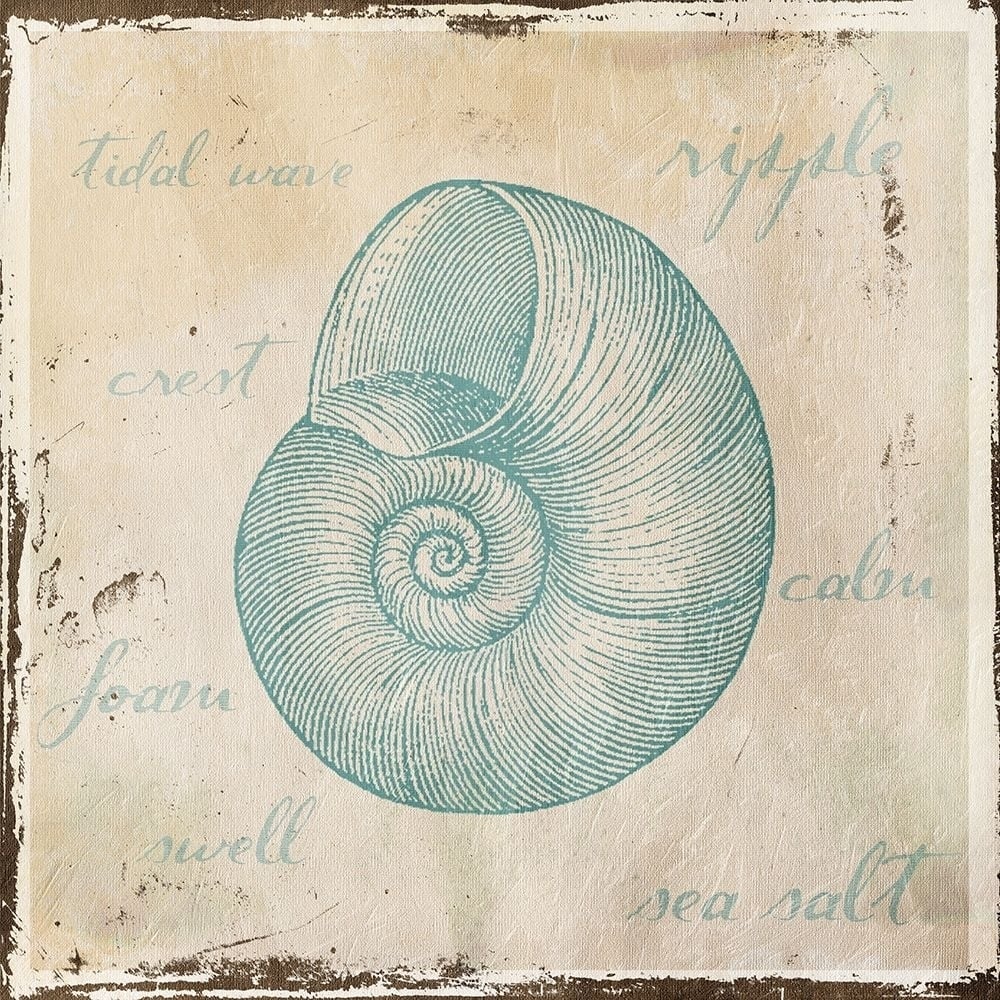 Stamped Shell Three Poster Print by Jace Grey-VARPDXJGSQ442C Image 1