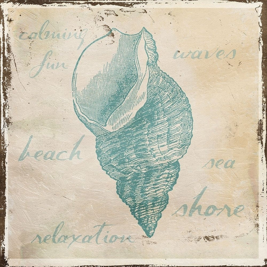 Stamped Shell Poster Print by Jace Grey-VARPDXJGSQ442A Image 1