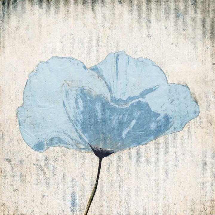 Soft Floral Blue Poster Print by Jace Grey-VARPDXJGSQ880A Image 2