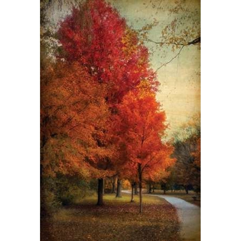 Among the Maples Poster Print by Jessica Jenney-VARPDXJJ014A Image 1