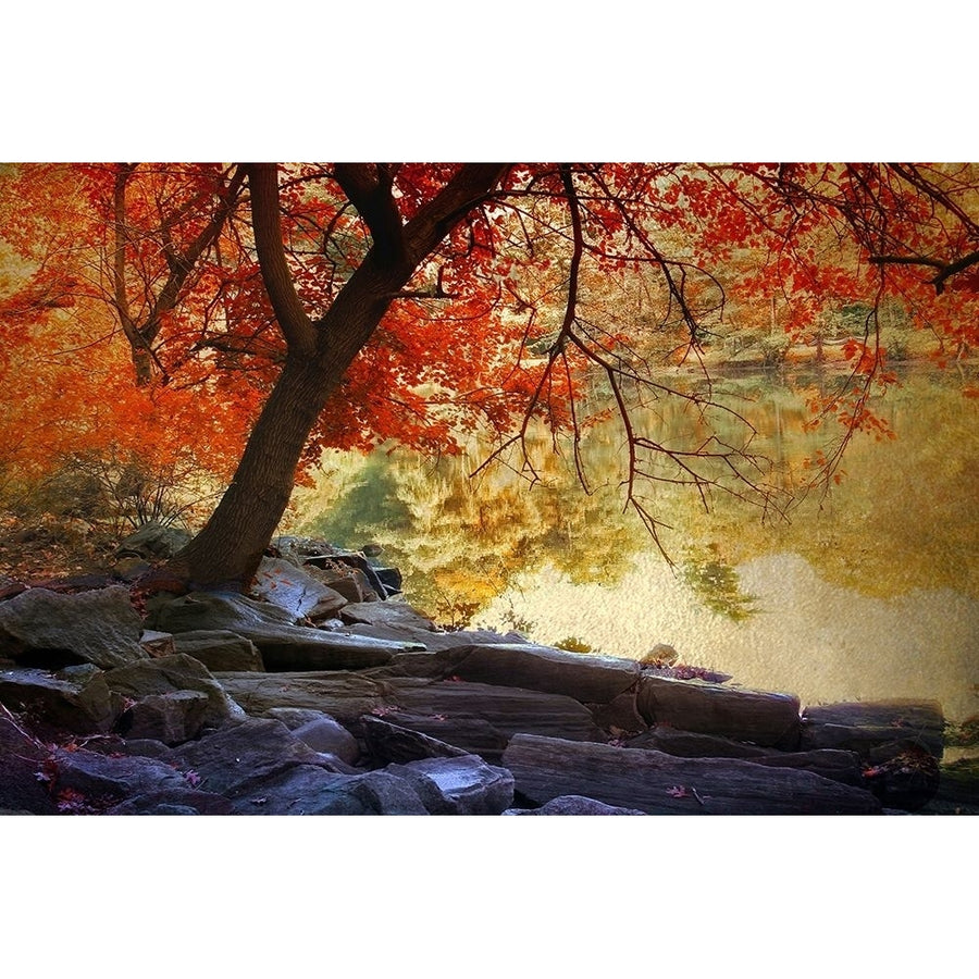 Under the Maple Poster Print by Jessica Jenney-VARPDXJJ134A Image 1