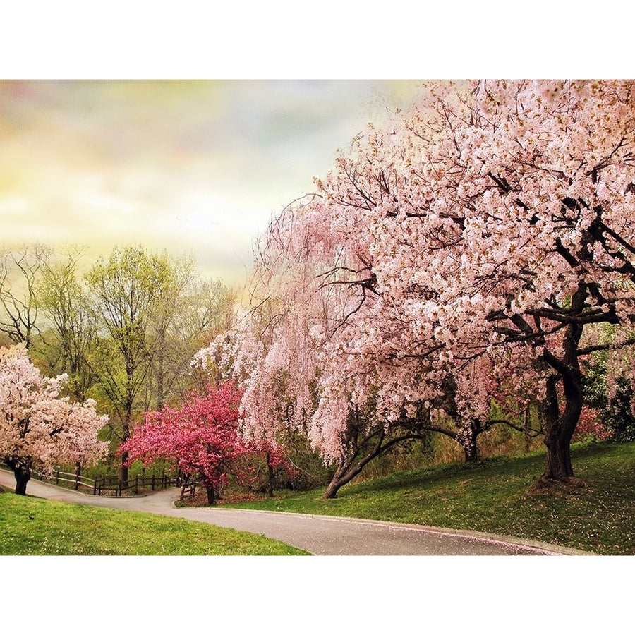Asian Cherry Grove by Jessica Jenney-VARPDXJJ117A Image 1