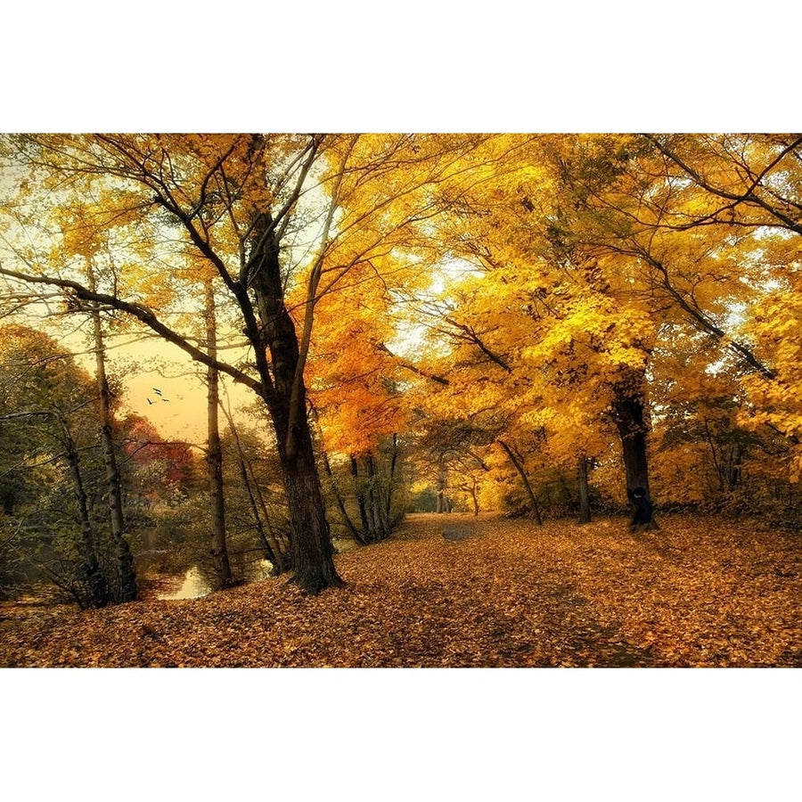 Golden Canopy Poster Print by Jessica Jenney-VARPDXJJ140A Image 1