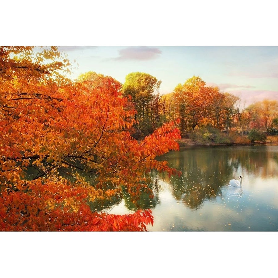 Autumn Splendor Poster Print - Jessica Jenney-VARPDXJJ158A Image 1