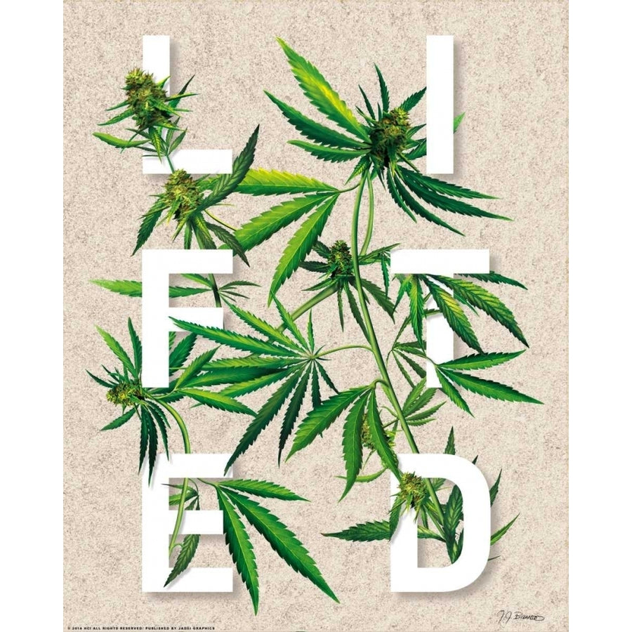 Lifted Poster Print by JJ Brando-VARPDXJJ35 Image 1