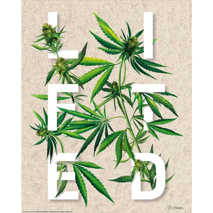 Lifted Poster Print by JJ Brando-VARPDXJJ35 Image 2