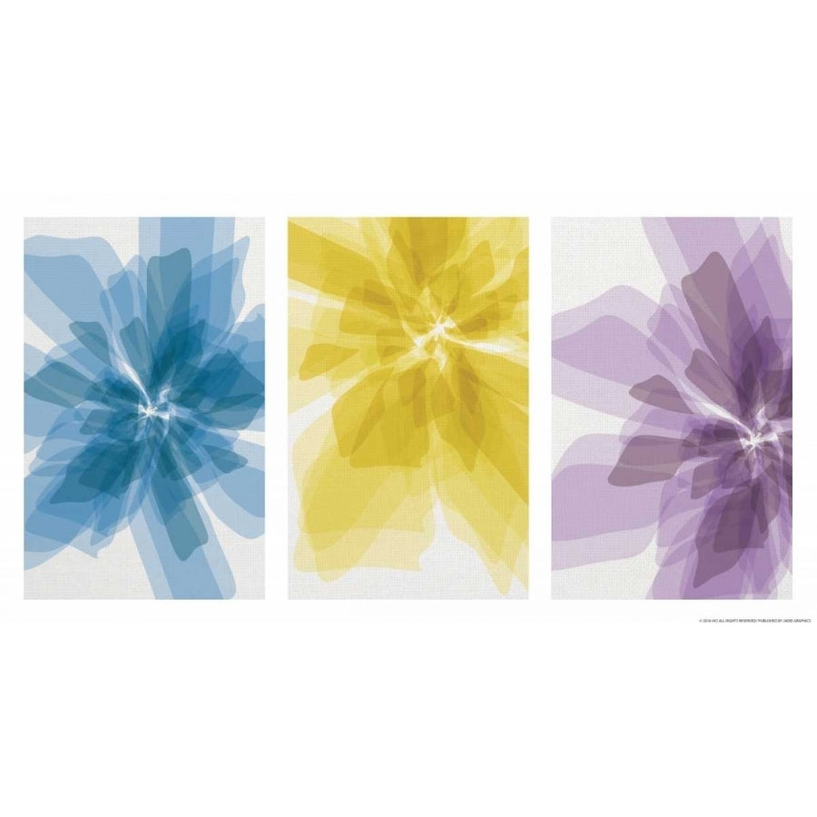 Three Xray Flowers Poster Print by JJ Brando-VARPDXJJ49 Image 1