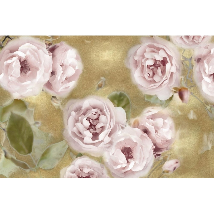 Roses on Gold III Poster Print by Joanna Lane-VARPDXJL115067 Image 1