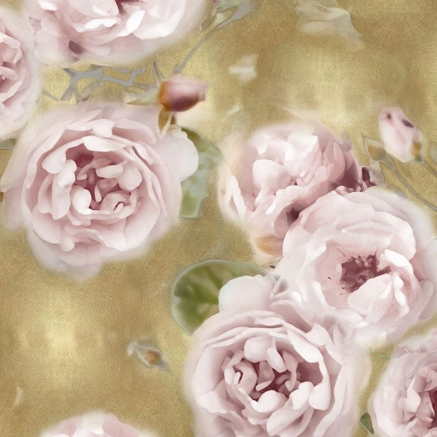 Roses on Gold II Poster Print by Joanna Lane-VARPDXJL115066 Image 1